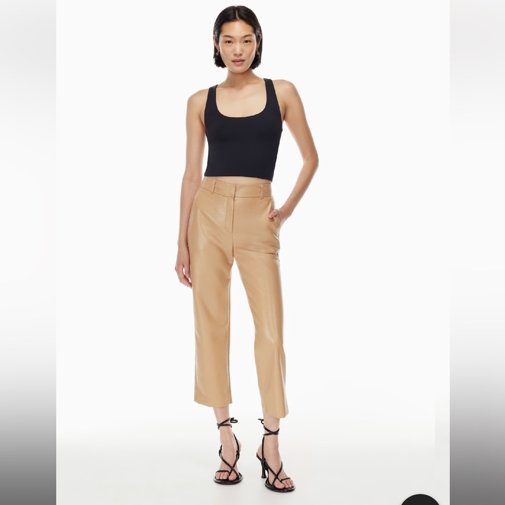 Aritzia Babaton Command Leather Pants